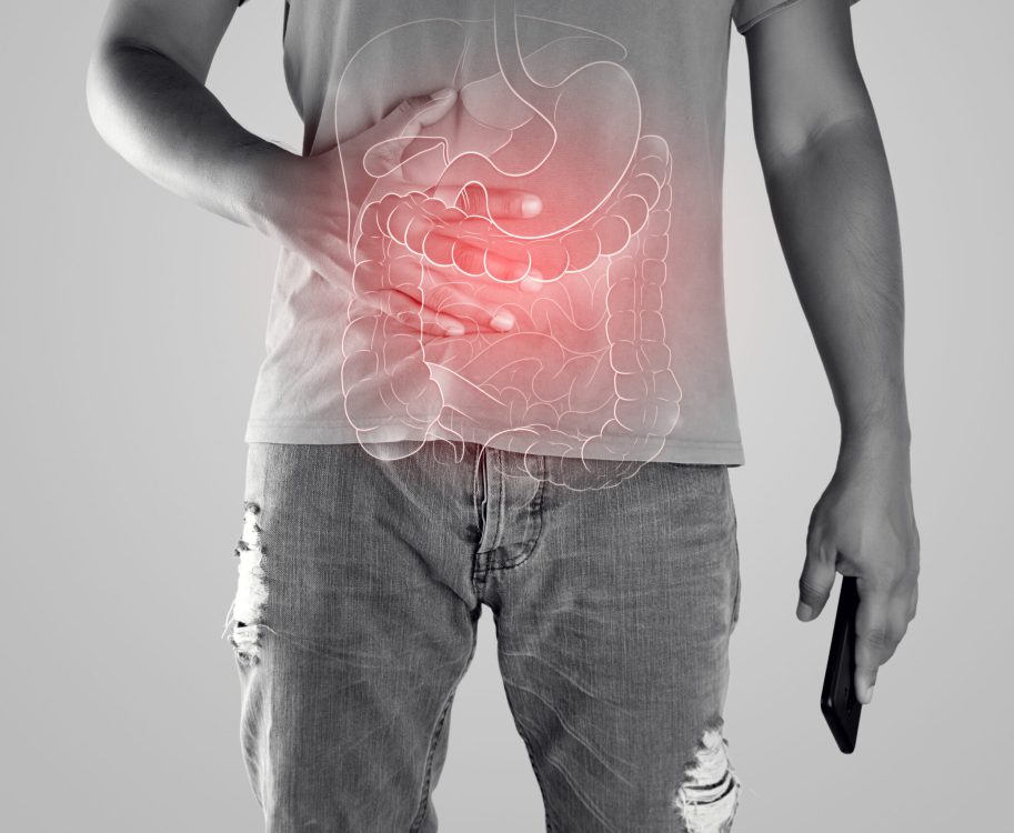 Illustration of internal organs is on the man body against the gray background. Peopel touching stomach painful suffering from enteritis. internal organs of the human body.